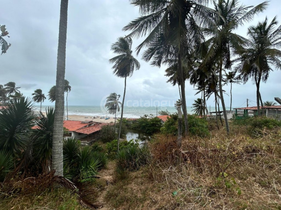 Imagem Terreno à Venda, 3.550 m² em Praia De Caraúbas - Maxaranguape Imagem Terreno à Venda, 3.550 m² em Praia De Caraúbas - Maxaranguape