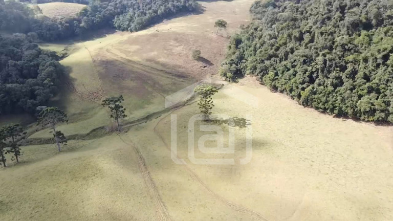 Imagem Imóvel à Venda, 7 m² em Campestrinho - Divinolândia Imagem Imóvel à Venda, 7 m² em Campestrinho - Divinolândia