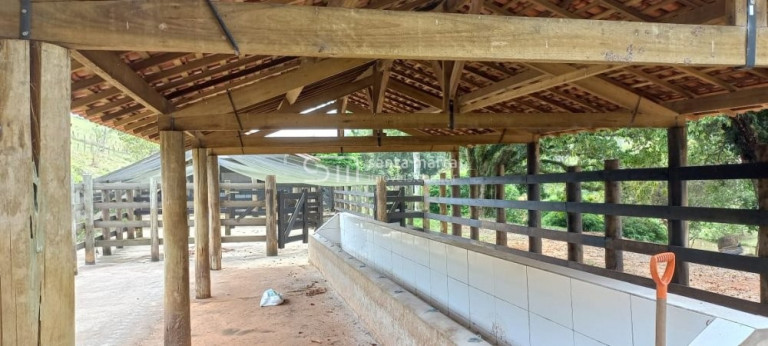 Imagem Imóvel com 3 Quartos à Venda, 205.700 m² em Bairro Córrego Do Rosário - Lorena