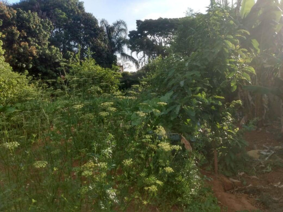 Imagem Chácara com 2 Quartos à Venda, 2.048 m² em Bairro Do Cercado - Araçoiaba Da Serra Imagem Chácara com 2 Quartos à Venda, 2.048 m² em Bairro Do Cercado - Araçoiaba Da Serra