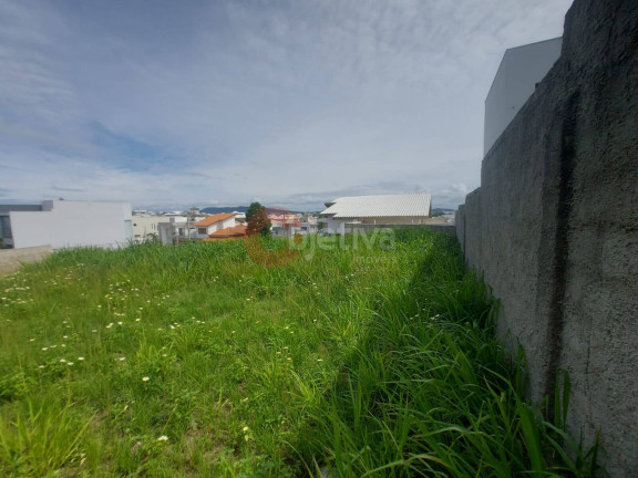 Imagem Terreno à Venda, 590 m² em Nova São Pedro - São Pedro Da Aldeia Imagem Terreno à Venda, 590 m² em Nova São Pedro - São Pedro Da Aldeia