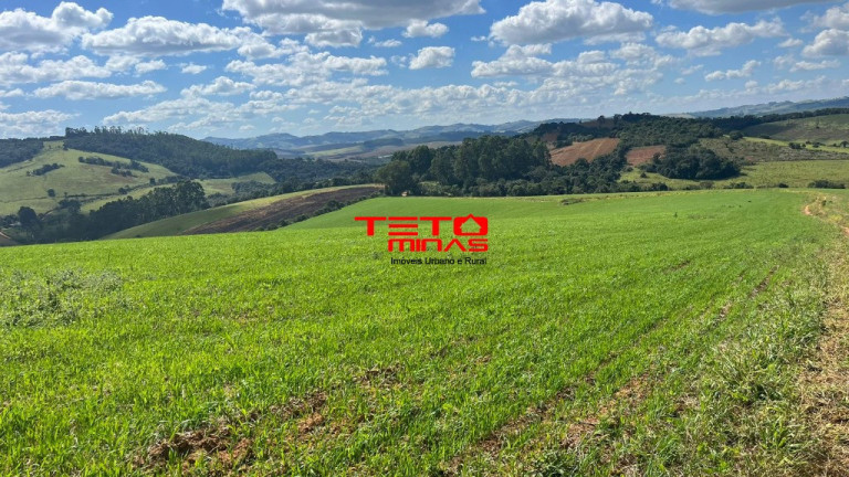 Imagem Imóvel à Venda, em Zona Rural De Zona Rural De Ipuiuna - São Lourenço Imagem Imóvel à Venda, em Zona Rural De Zona Rural De Ipuiuna - São Lourenço