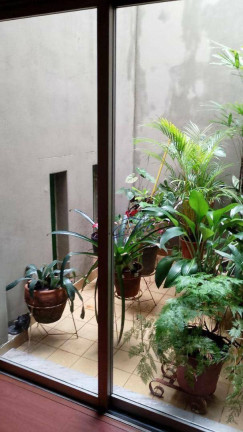 Imagem Casa com 4 Quartos à Venda ou Locação, 238 m² em Butantã - São Paulo