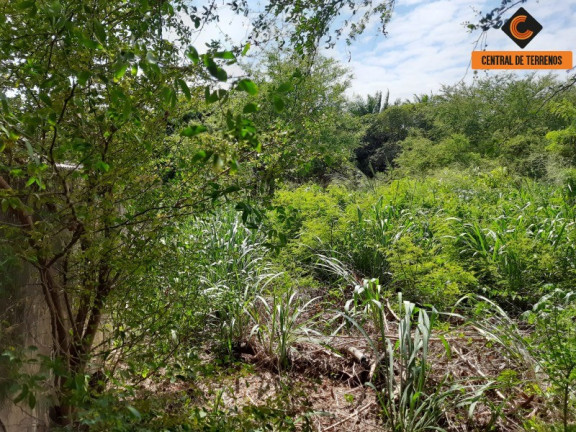 Imagem Terreno à Venda, 844 m² em Vilas Do Atlantico - Lauro De Freitas Imagem Terreno à Venda, 844 m² em Vilas Do Atlantico - Lauro De Freitas