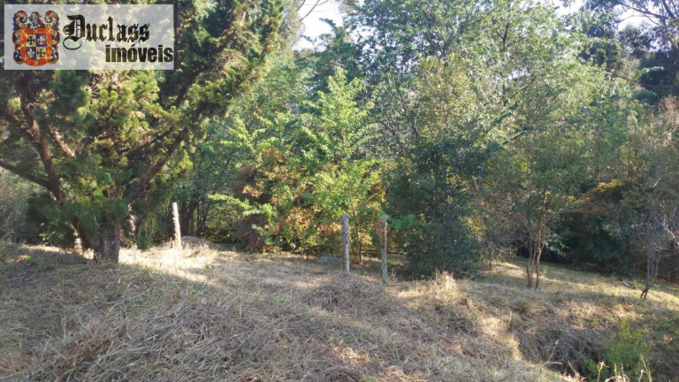 Imagem Chácara com 1 Quarto à Venda, 180 m² em Rural - Gonçalves Imagem Chácara com 1 Quarto à Venda, 180 m² em Rural - Gonçalves