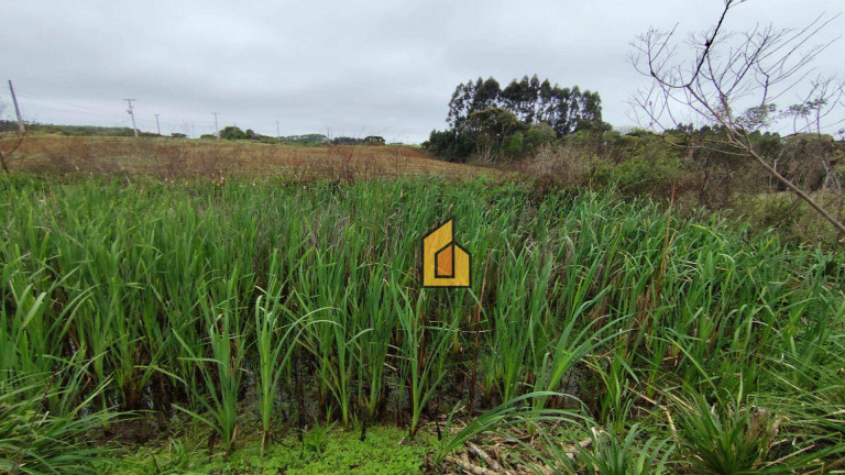 Imagem Chácara à Venda, 1 m² em Boqueirão - Araucária Imagem Chácara à Venda, 1 m² em Boqueirão - Araucária
