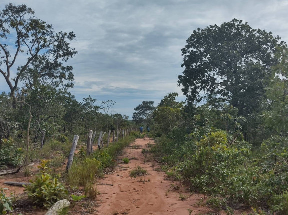 Imagem Fazenda à Venda, 75 m² em Uberlândia Imagem Fazenda à Venda, 75 m² em Uberlândia