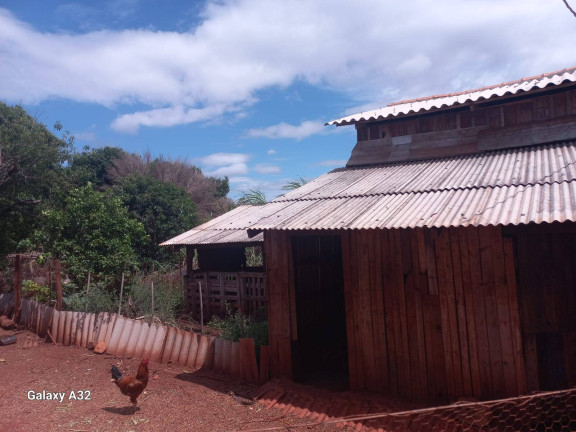 Imagem Chácara com 3 Quartos à Venda, 42.000 m² em Arapongas Imagem Chácara com 3 Quartos à Venda, 42.000 m² em Arapongas