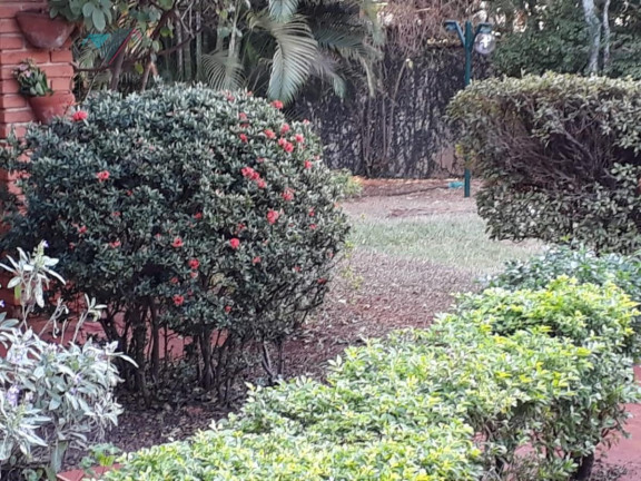 Imagem Imóvel com 3 Quartos à Venda, 400 m² em Condomínio Quinta Da Boa Vista - Ribeirão Preto Imagem Imóvel com 3 Quartos à Venda, 400 m² em Condomínio Quinta Da Boa Vista - Ribeirão Preto