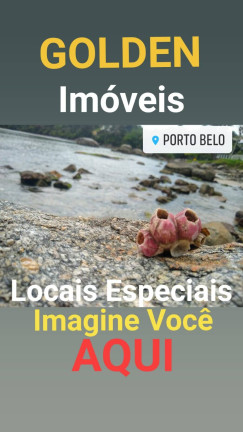 Imagem Apartamento com 3 Quartos à Venda, 93 m² em Perequê - Porto Belo