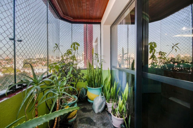 Imagem Apartamento com 3 Quartos à Venda, 144 m² em Jardim Da Saúde - São Paulo Imagem Apartamento com 3 Quartos à Venda, 144 m² em Jardim Da Saúde - São Paulo