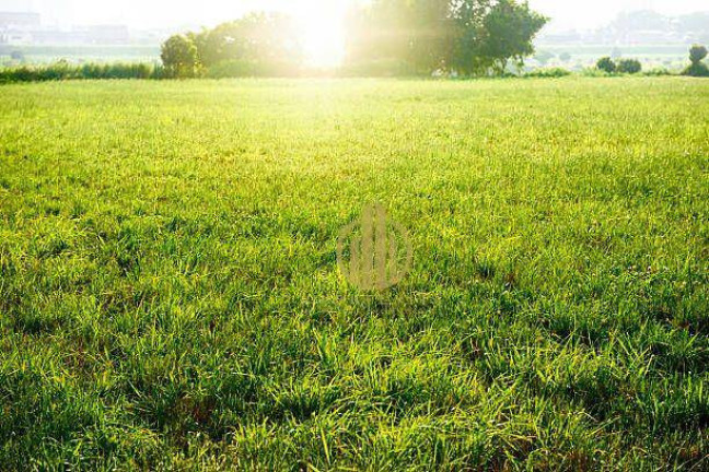 Terreno à Venda, 310 m² em Jardim Botânico - Ribeirão Preto