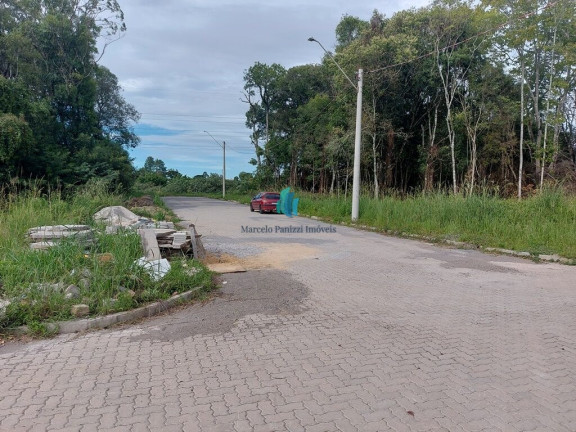 Imagem Terreno à Venda, 360 m² em Santo Antão - Bento Gonçalves
