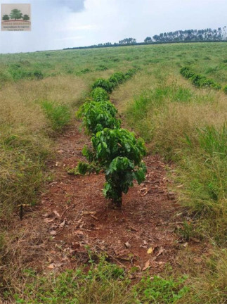 Imagem Fazenda à Venda, 2.000 m² em Zona Rural - Perdizes Imagem Fazenda à Venda, 2.000 m² em Zona Rural - Perdizes
