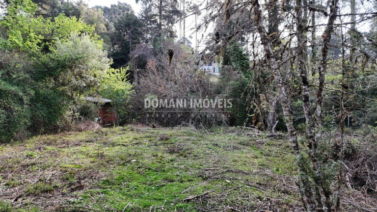 Imagem Terreno à Venda, 1.200 m² em Região De Capivari - Campos Do Jordão Imagem Terreno à Venda, 1.200 m² em Região De Capivari - Campos Do Jordão