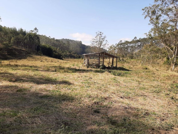 Imagem Fazenda à Venda, 1.100.000 m² em Centro - Paraibuna Imagem Fazenda à Venda, 1.100.000 m² em Centro - Paraibuna