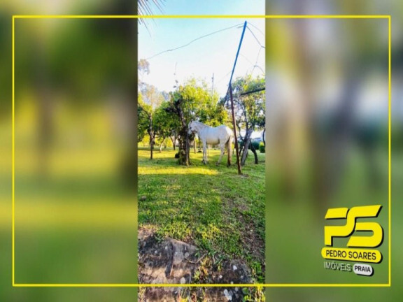Imagem Casa com 6 Quartos à Venda, 6.080 m² em Bela Vista - Caxias Do Sul