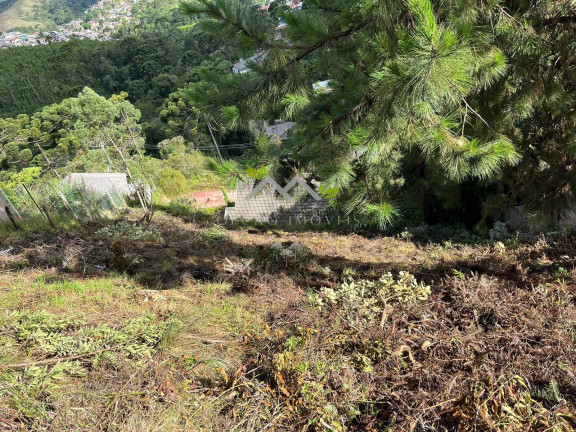 Imagem Terreno à Venda, 310 m² em Jardim Sumaré - Campos Do Jordão Imagem Terreno à Venda, 310 m² em Jardim Sumaré - Campos Do Jordão