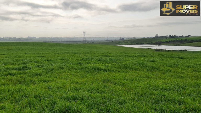 Imagem Imóvel com 3 Quartos à Venda, 2.000.000 m² em Colônia Nova - Aceguá