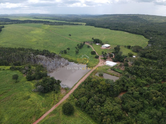 Imóvel com 7 Quartos à Venda, 1.822 m² em Zona Rural - Primavera Do Leste