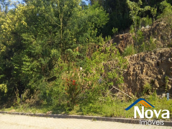 Imagem Imóvel à Venda, 389 m² em Bavária - Nova Petrópolis