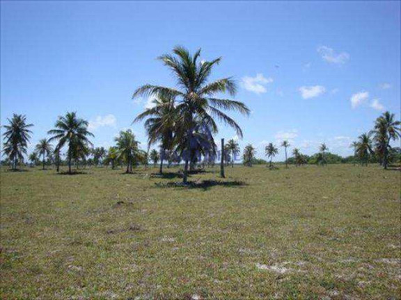 Imagem Terreno à Venda, 436.000 m² em Centro - Conde