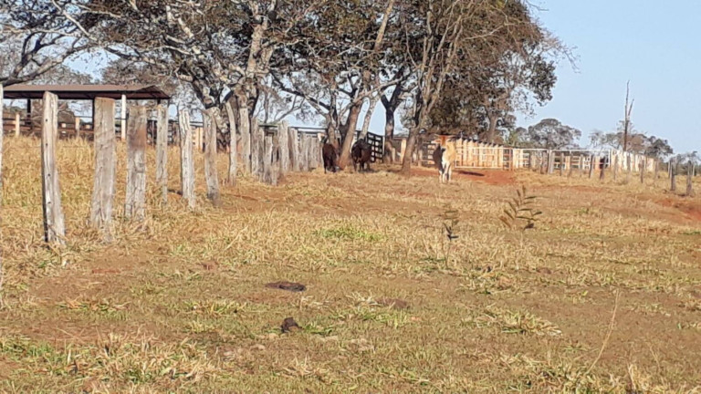 Imagem Fazenda à Venda, 314 m² em Zona Rural - Ituiutaba Imagem Fazenda à Venda, 314 m² em Zona Rural - Ituiutaba