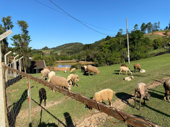 Imagem Fazenda à Venda, 220 m² em Boichininga - Almirante Tamandare Imagem Fazenda à Venda, 220 m² em Boichininga - Almirante Tamandare