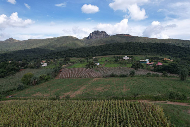 Imagem Terreno à Venda, 2 m² em Batatal - Igarapé Imagem Terreno à Venda, 2 m² em Batatal - Igarapé