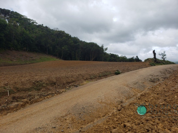 Imagem Imóvel com 1 Quarto à Venda, 60.000 m² em Zona Rural - Alfredo Wagner