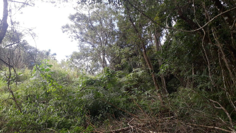 Terreno à Venda, 1.000 m² em Ortizes - Piedade
