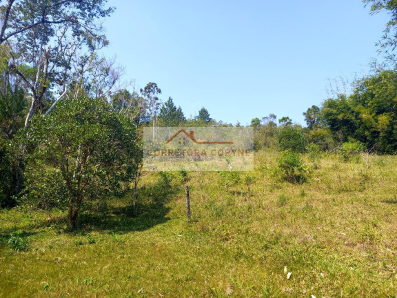 Imagem Terreno à Venda, 24.000 m² em Palmeiras - Juquitiba Imagem Terreno à Venda, 24.000 m² em Palmeiras - Juquitiba