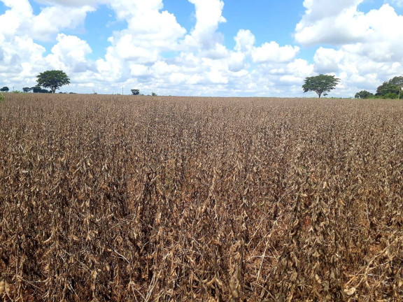 Imóvel à Venda, 85 m² em área Rural De Guarani D'oeste - Guarani D'oeste