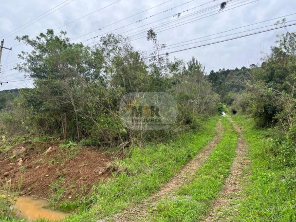 Imagem Imóvel com 2 Quartos à Venda, 70 m² em Linha Brasil - Nova Petrópolis