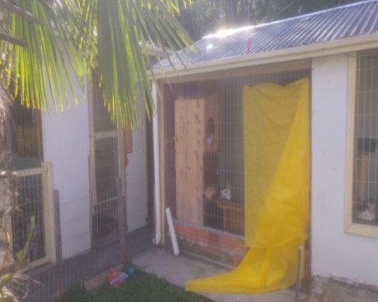 Imagem Casa com 2 Quartos à Venda, 120 m² em Germânia - Nova Petrópolis
