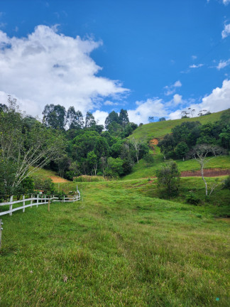 Imagem Imóvel com 3 Quartos à Venda, 77.860 m² em Zona Rural - Alfredo Wagner