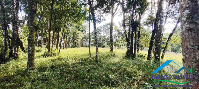 Imagem Chácara à Venda, 81 m² em Centro - Gonçalves