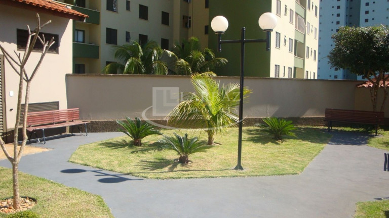 Imagem Imóvel com 3 Quartos à Venda, 65 m² em Iguatemi - Ribeirão Preto Imagem Imóvel com 3 Quartos à Venda, 65 m² em Iguatemi - Ribeirão Preto