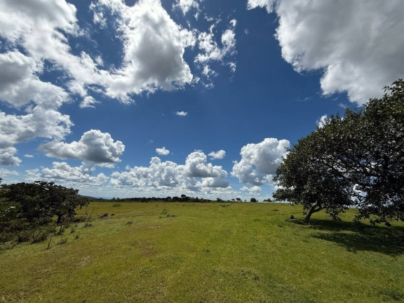 Imagem Fazenda à Venda, em Bom Jardim De Goiás Imagem Fazenda à Venda, em Bom Jardim De Goiás