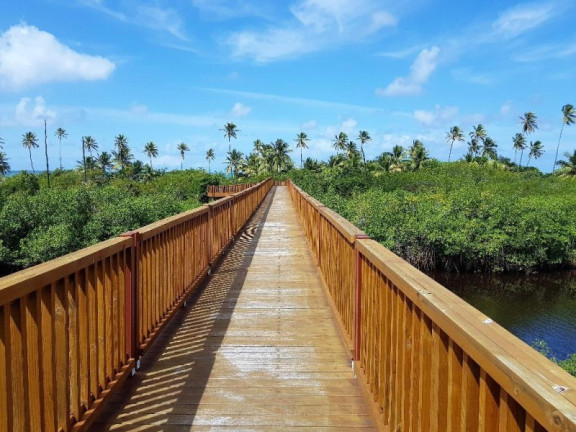 Imagem Terreno à Venda, 700 m² em Praia Do Forte - Mata De São João Imagem Terreno à Venda, 700 m² em Praia Do Forte - Mata De São João