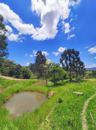 Imagem Terreno à Venda, 200.000 m² em Rancho Queimado Imagem Terreno à Venda, 200.000 m² em Rancho Queimado
