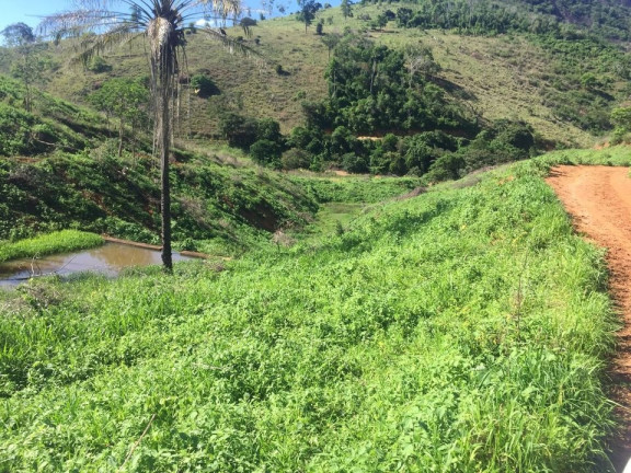 Imagem Imóvel com 2 Quartos à Venda, 113 m² em área Rural De Colatina - Colatina