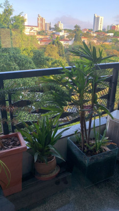 Imagem Imóvel com 4 Quartos à Venda, 240 m² em Jardim Da Saúde - São Paulo