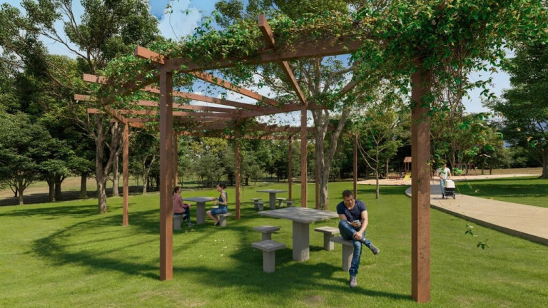 Imagem Terreno à Venda, 250 m² em Centro - Senador Canedo