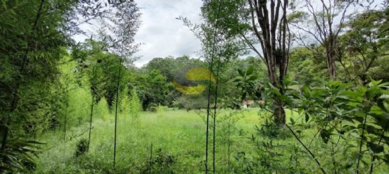 Terreno à Venda, 96.000 m² em Jardim Tomé - Embu Das Artes