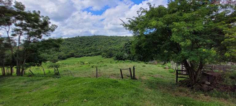 Imagem Imóvel à Venda, 290.400 m² em Amizade - Jandaia Do Sul Imagem Imóvel à Venda, 290.400 m² em Amizade - Jandaia Do Sul