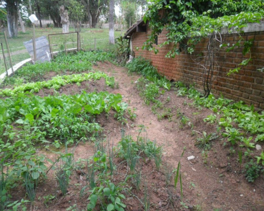 Imagem Imóvel com 2 Quartos à Venda, 239 m² em Jardim Estância Brasil - Atibaia