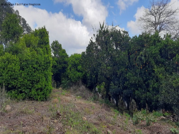 Imagem Terreno à Venda, 1.577 m² em Logradouro - Nova Petrópolis