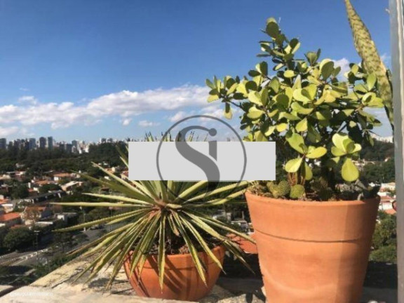 Imagem Imóvel com 3 Quartos à Venda, 360 m² em Vila Nova Conceição - São Paulo Imagem Imóvel com 3 Quartos à Venda, 360 m² em Vila Nova Conceição - São Paulo
