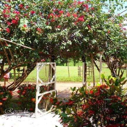 Imagem Casa com 4 Quartos à Venda, 3.120 m² em Cutijuba - Belém